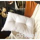 KLGG Pillow Pillow Single Cotton Fabric Cloud Soft Pillow Adult Hotel Special Feather Velvet Anti-Mite Single Pair 2 - B07VPK3PW8